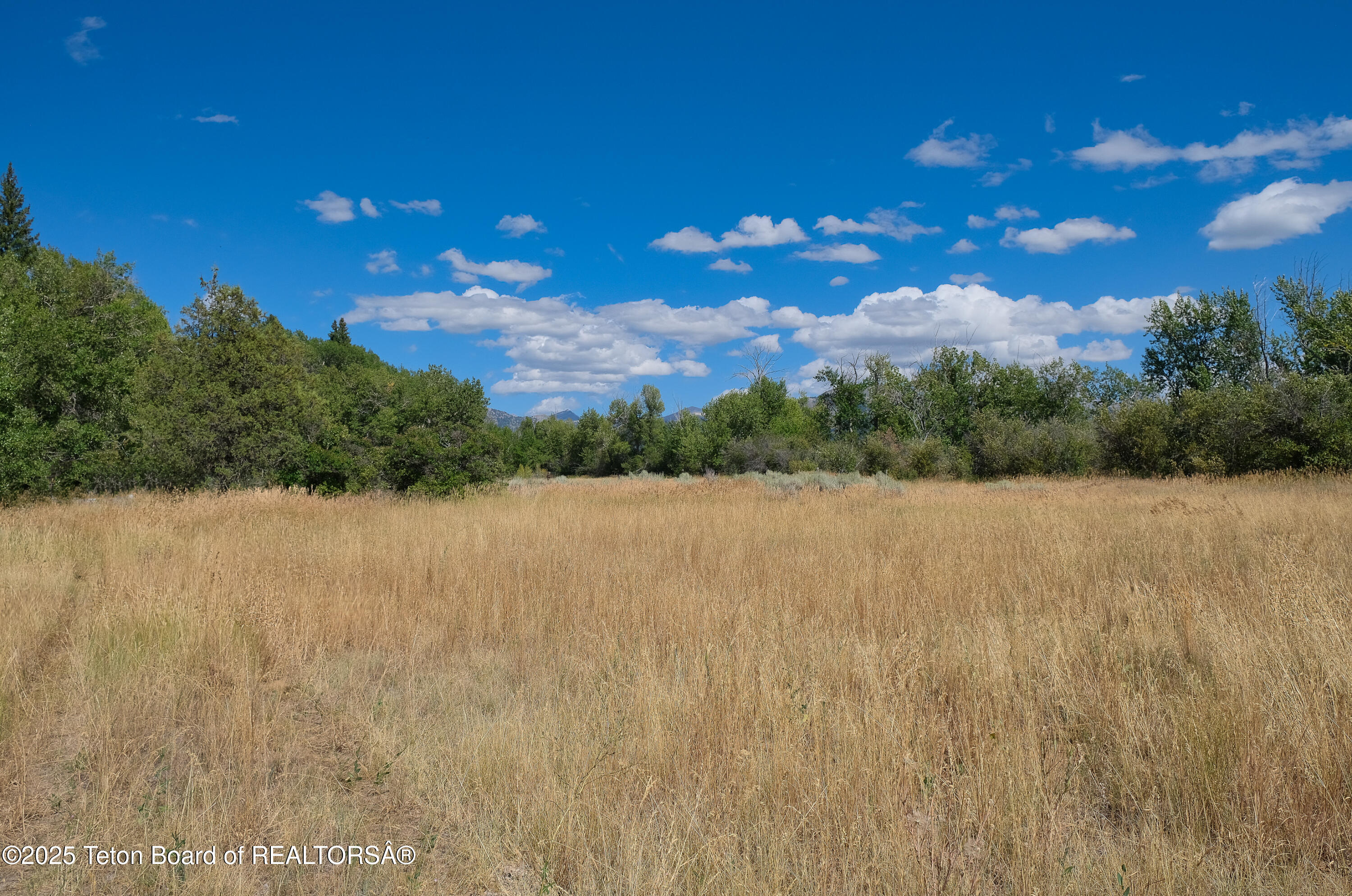 5554 Rancheros Loop Tetonia, ID 83452 - Photo 9 of 12 5554 Rancheros Loop_For MLS-25