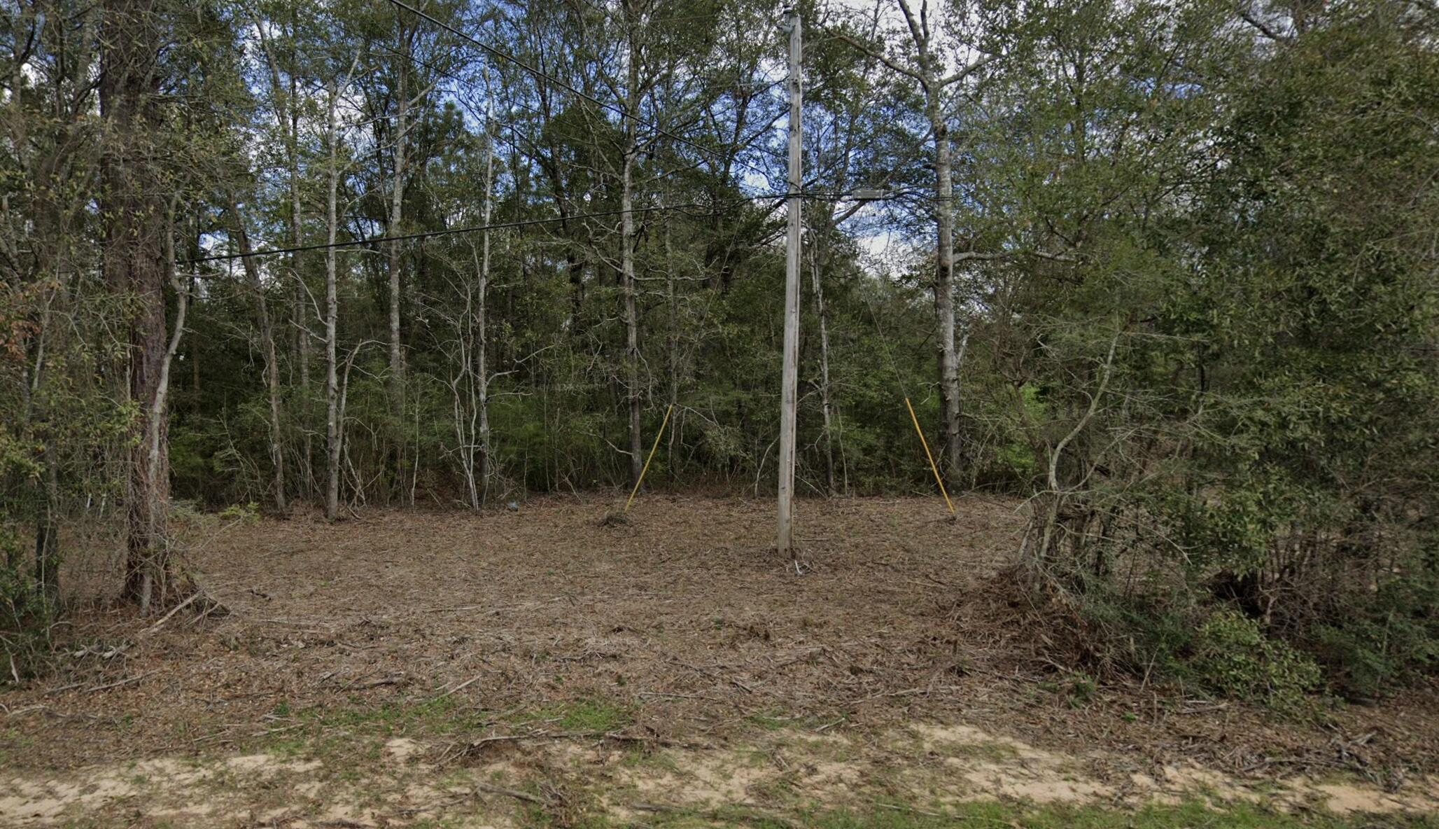 6033 Staff Road Crestview, FL 32536 - Photo 2 of 2 a view of a forest with trees in the background