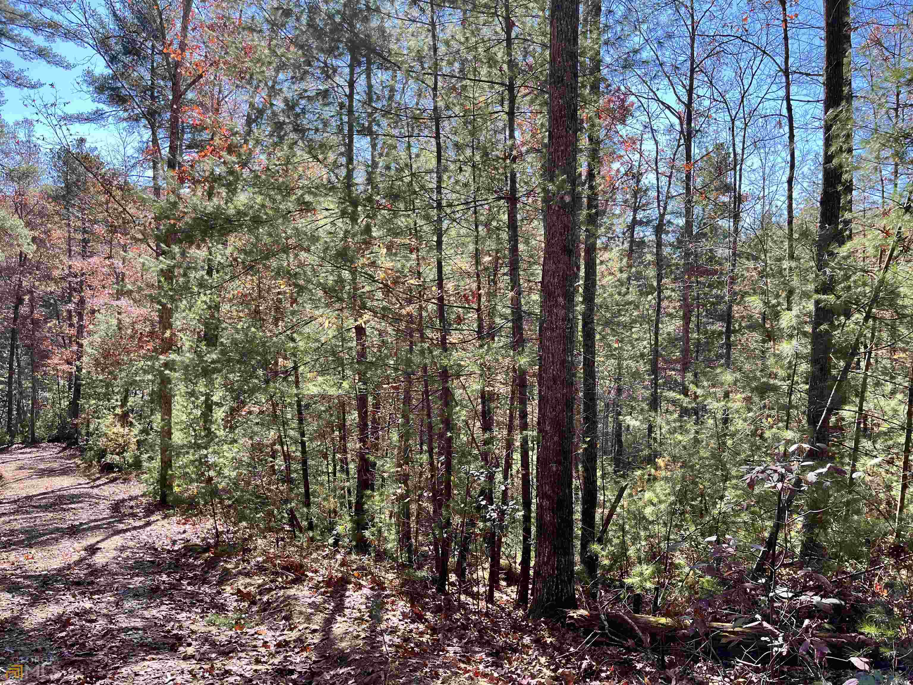 1.95-ac Adelaide Trail Blue Ridge, GA 30513 - Photo 1 of 1 a view of outdoor space and garden