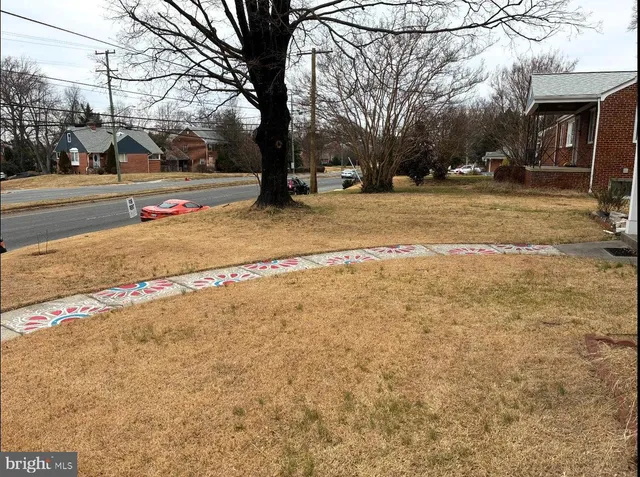 a park view with large trees