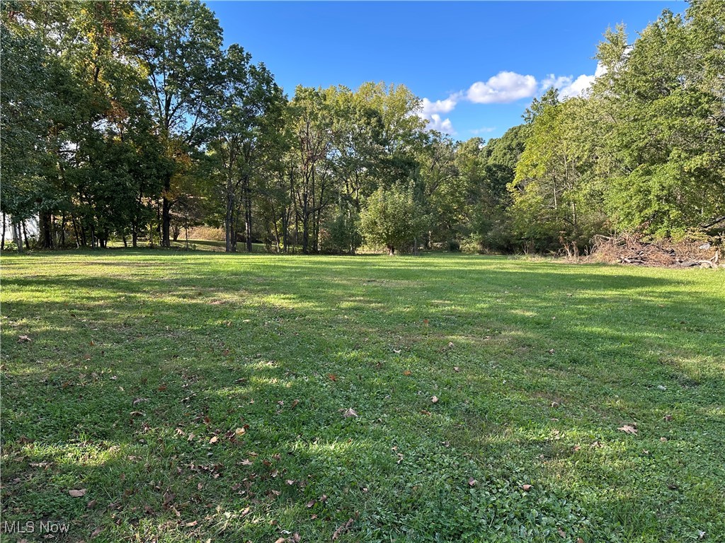 View of grassy yard