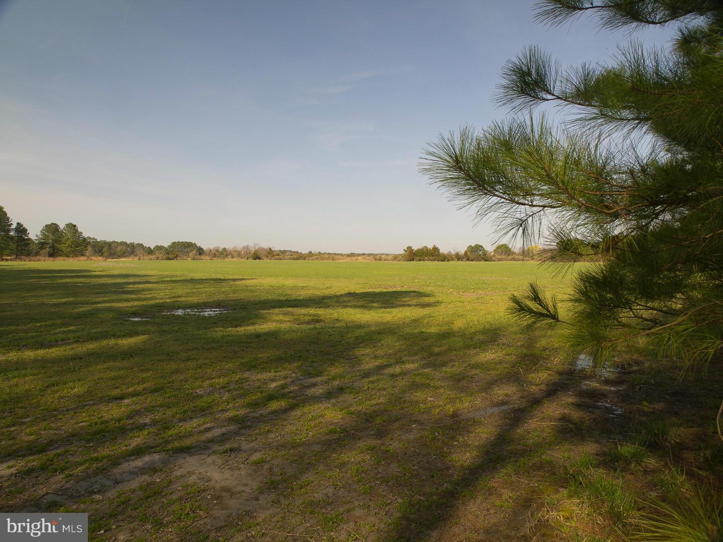 Brannocks Neck Road Cambridge, MD 21613 - Photo 7 of 10 Exterior (General)