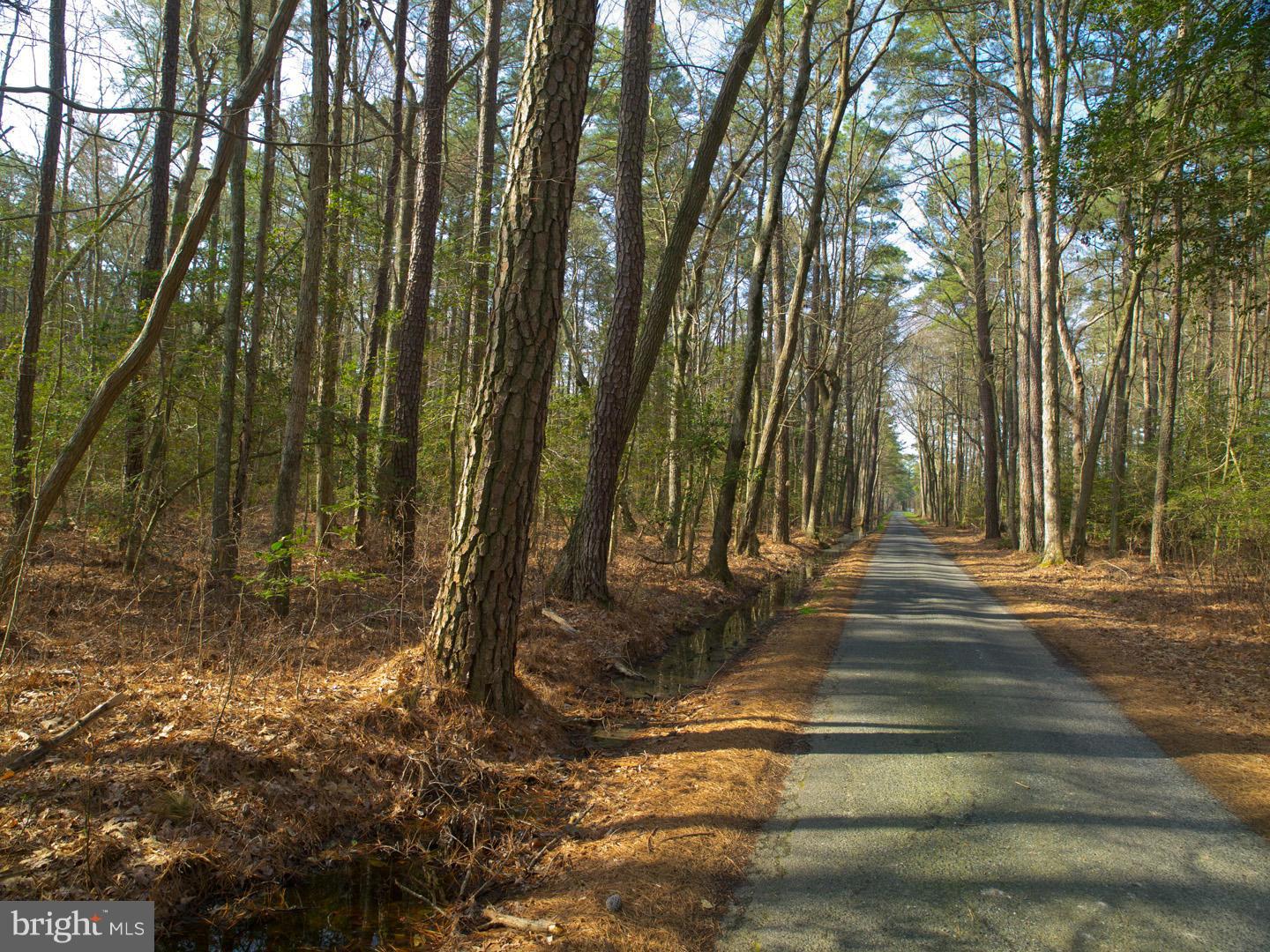 Brannocks Neck Road Cambridge, MD 21613 - Photo 10 of 10 Exterior (General)