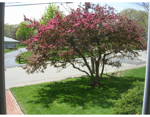 116 Mayflower Road Braintree, MA 02184 - Photo 13 of 25 Gallery Image 13