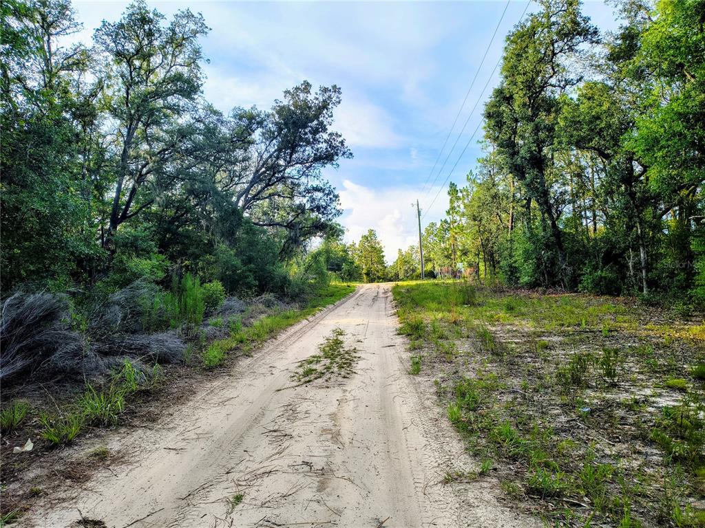 8821 Northeast 97th Court Bronson, FL 32621 - Photo 3 of 5