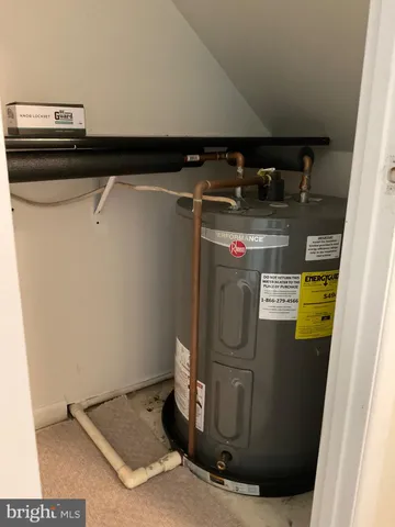 a view of a park with plants and trees