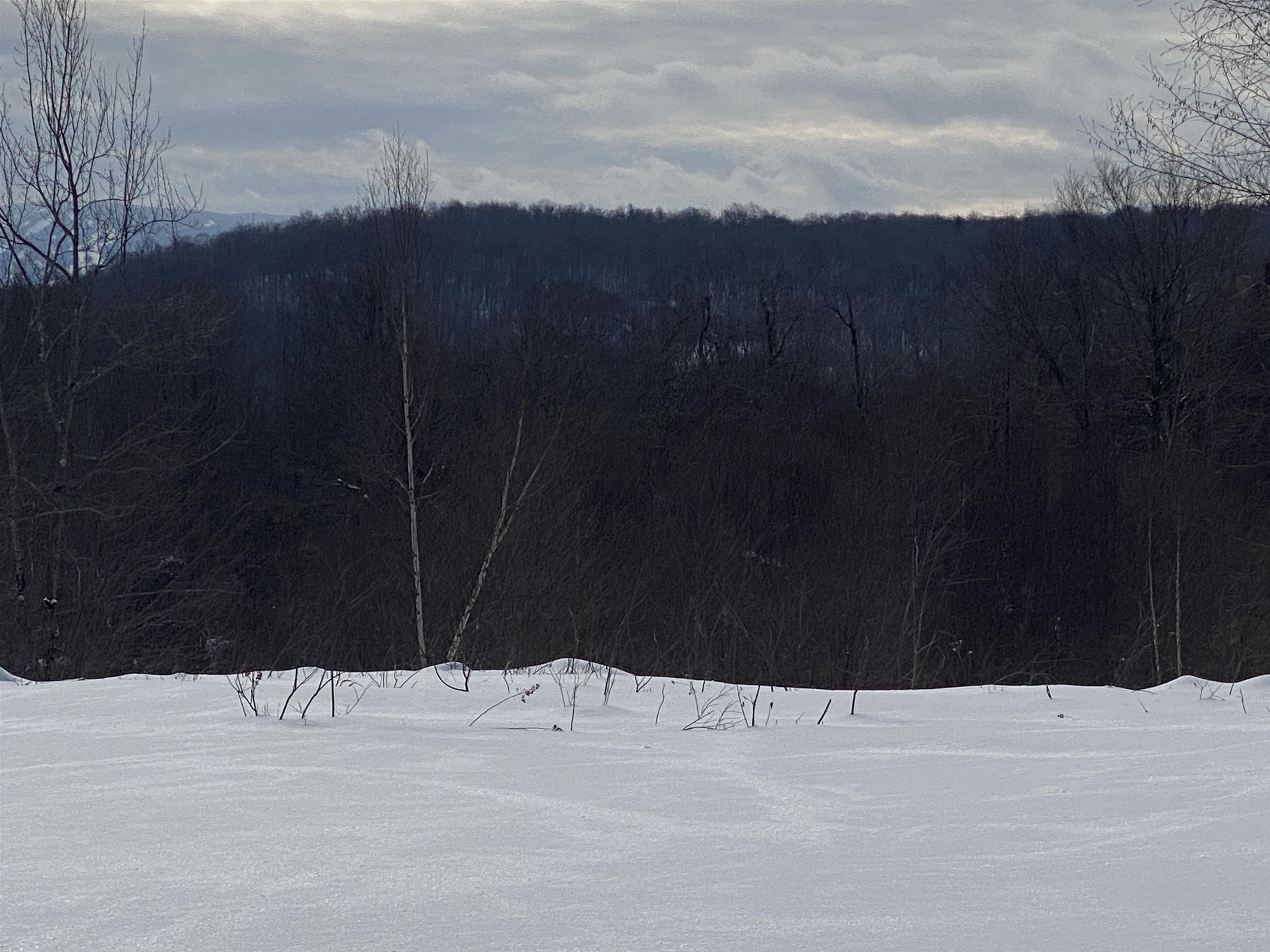 0 Bromley Knolls Road Winhall, VT 05340 - Photo 11 of 14
