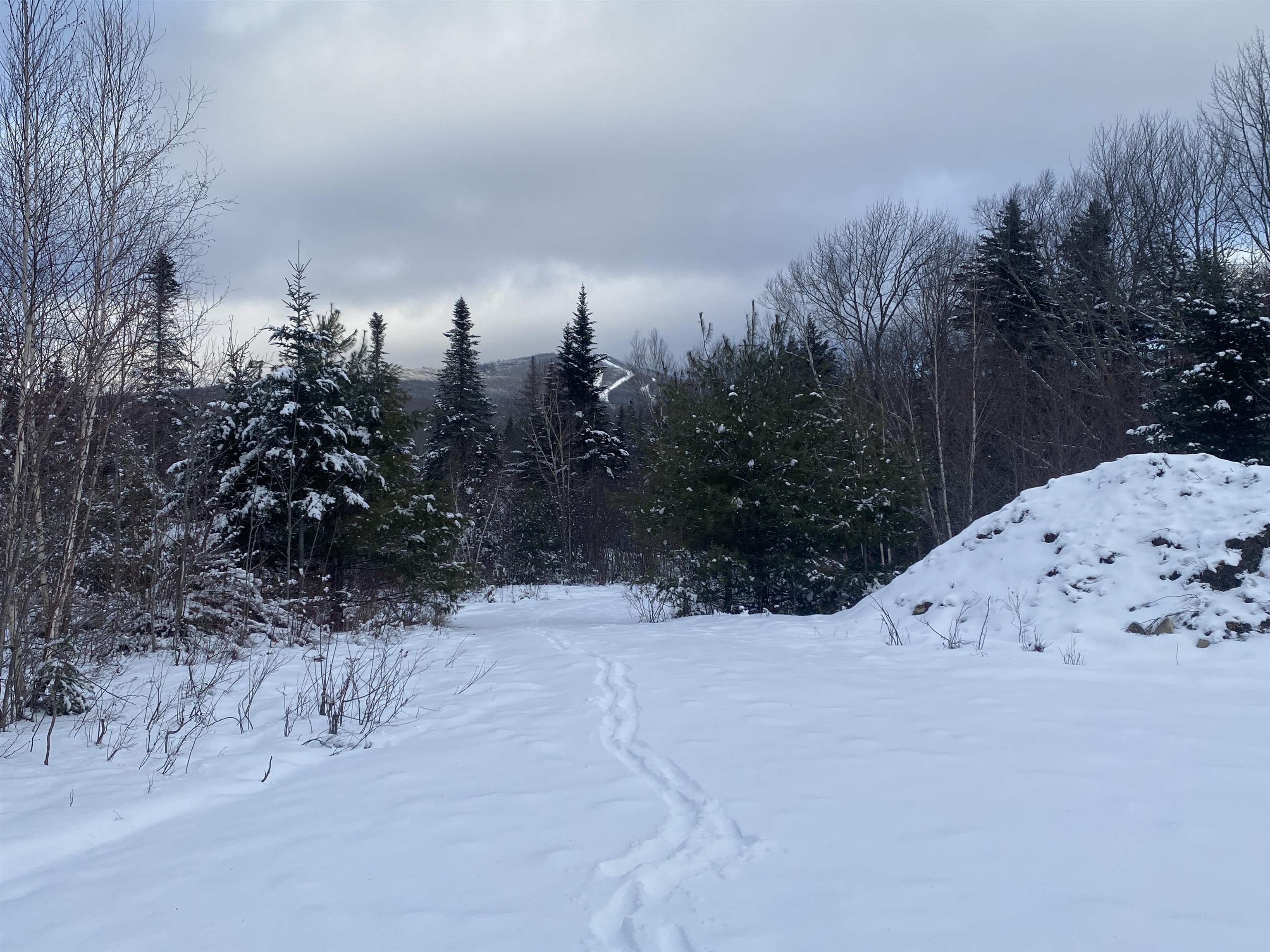 0 Bromley Knolls Road Winhall, VT 05340 - Photo 8 of 14
