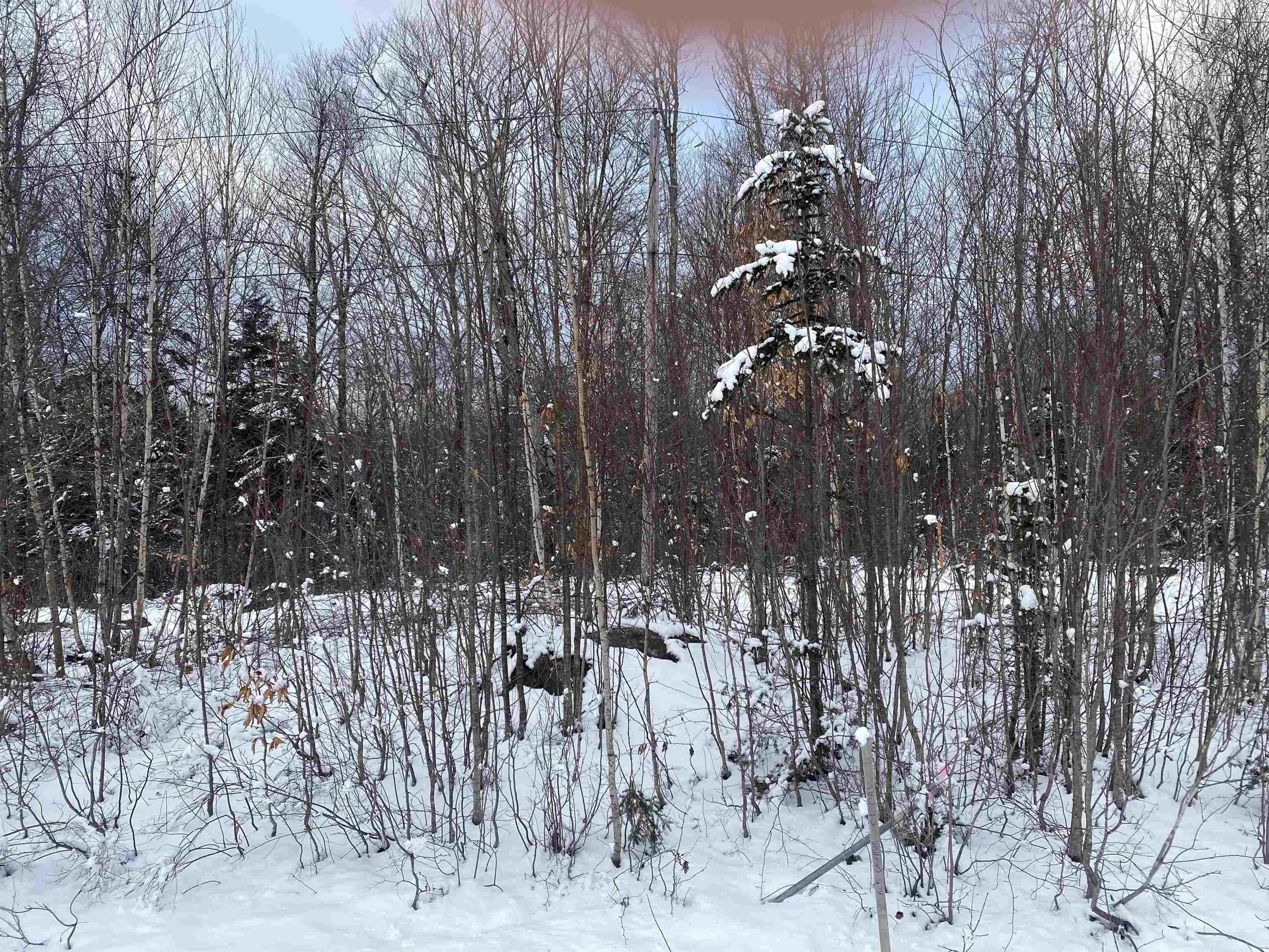 0 Bromley Knolls Road Winhall, VT 05340 - Photo 9 of 14