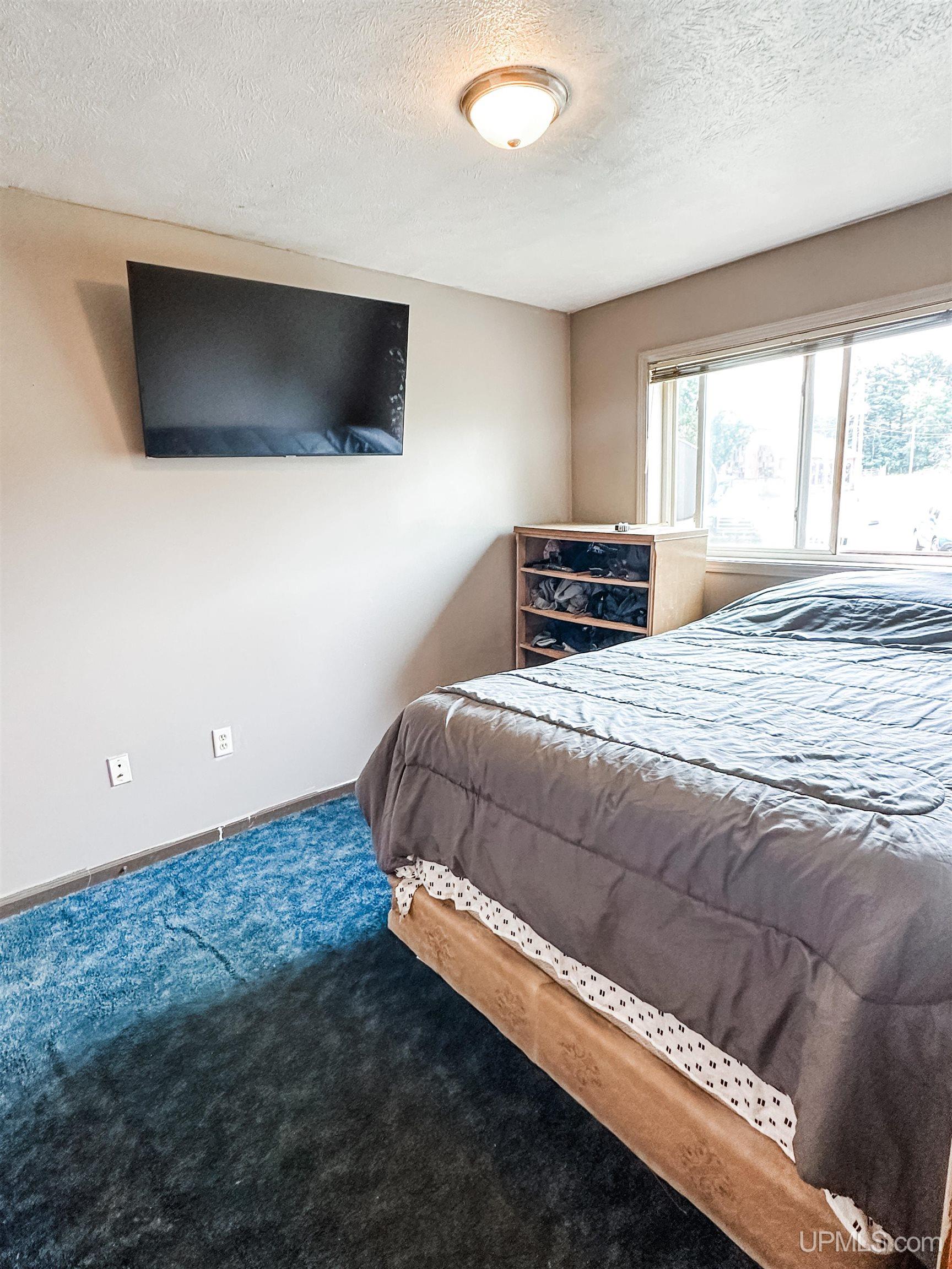 716 Cleveland Avenue Ishpeming, MI 49849 - Photo 21 of 33
