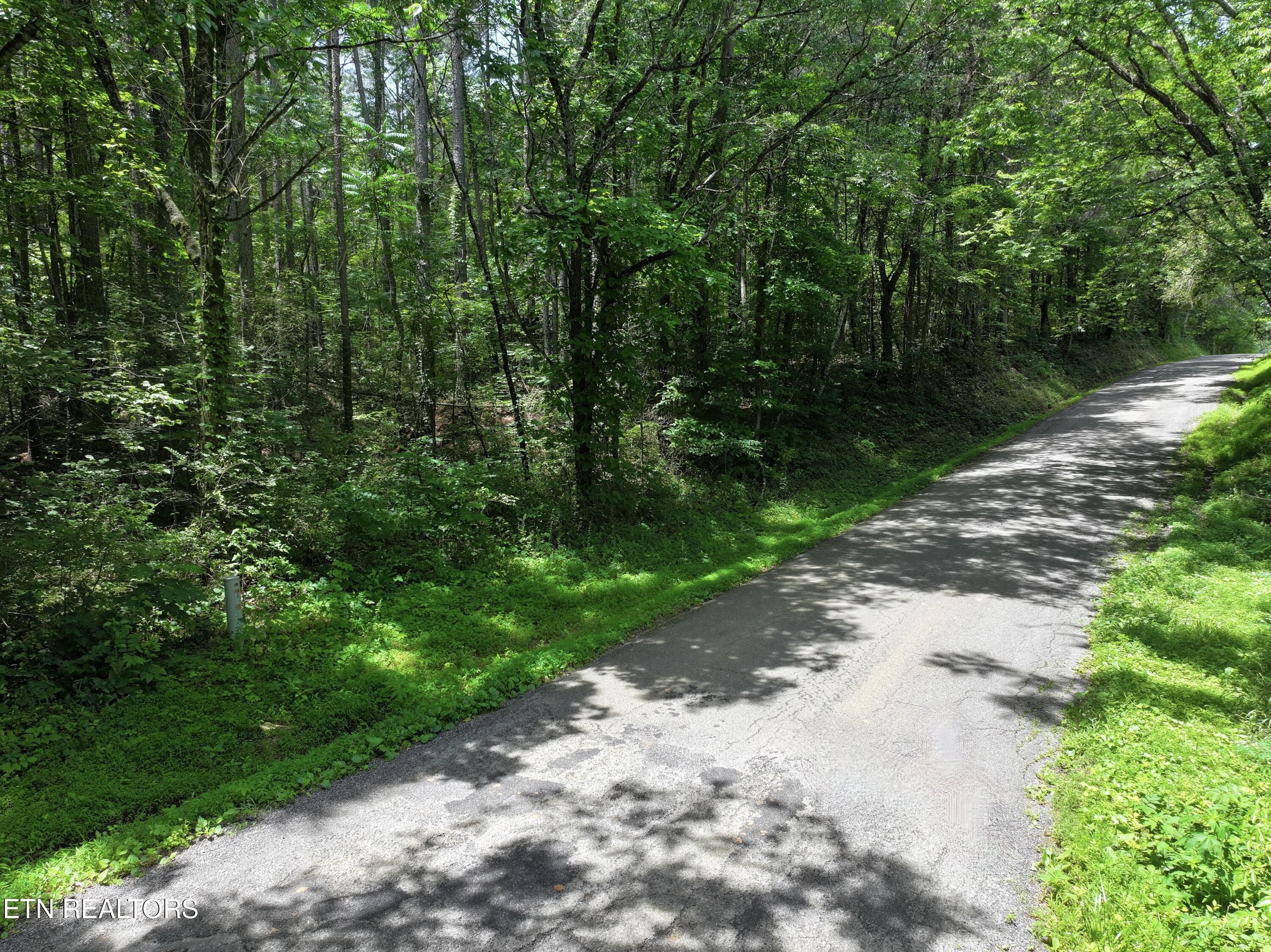 545 Ridge Road Madisonville, TN 37354 - Photo 7 of 7 dji_fly_20260622_055646_0754_17820945379