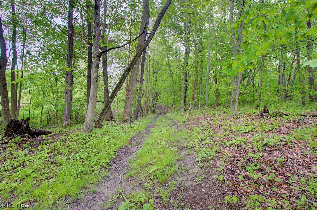 3637 Old Forge Road Rootstown, OH 44272 - Photo 13 of 38