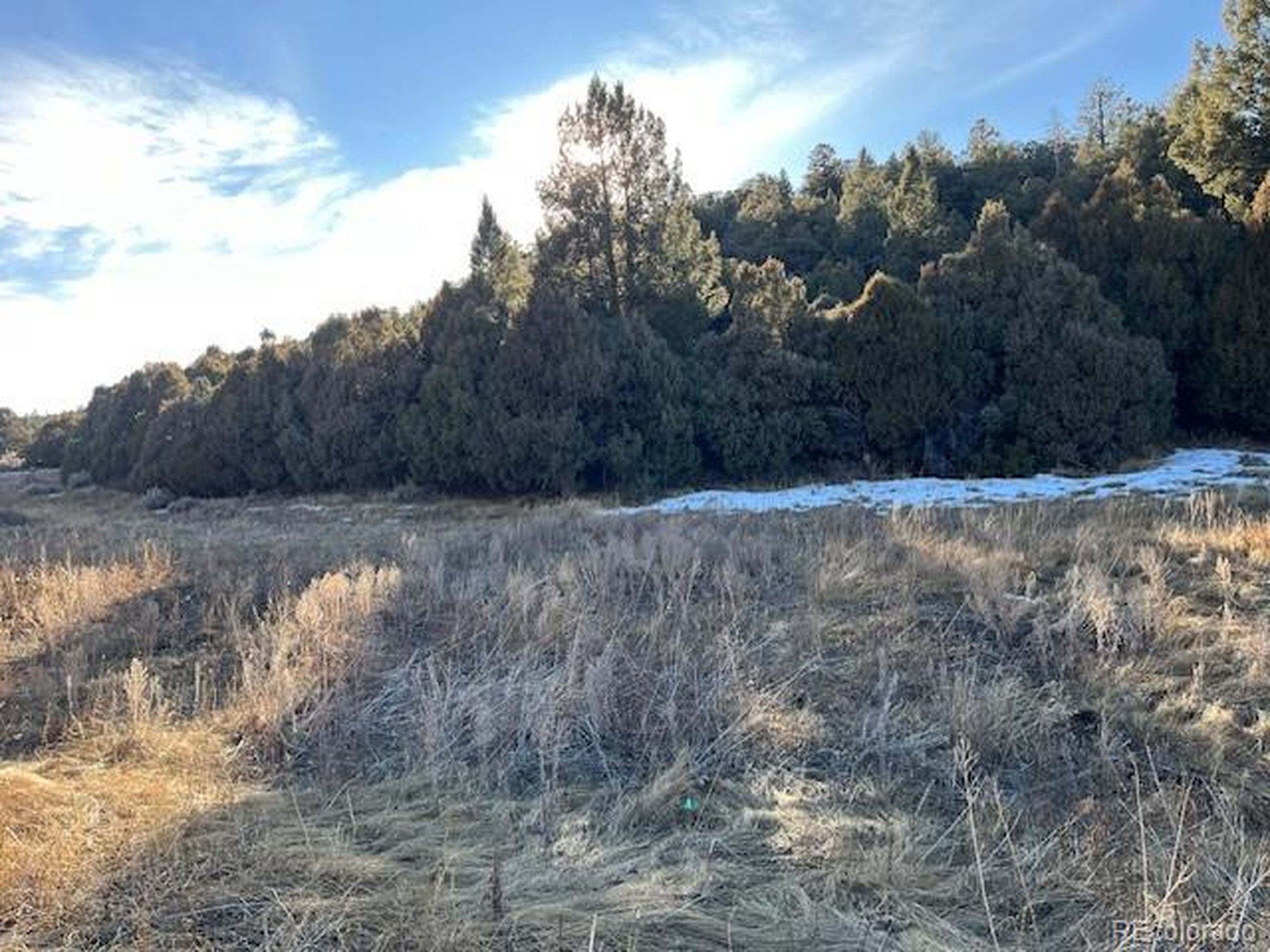 6016 Forbes Road San Luis, CO 81152 - Photo 12 of 20 a view of a yard with a tree