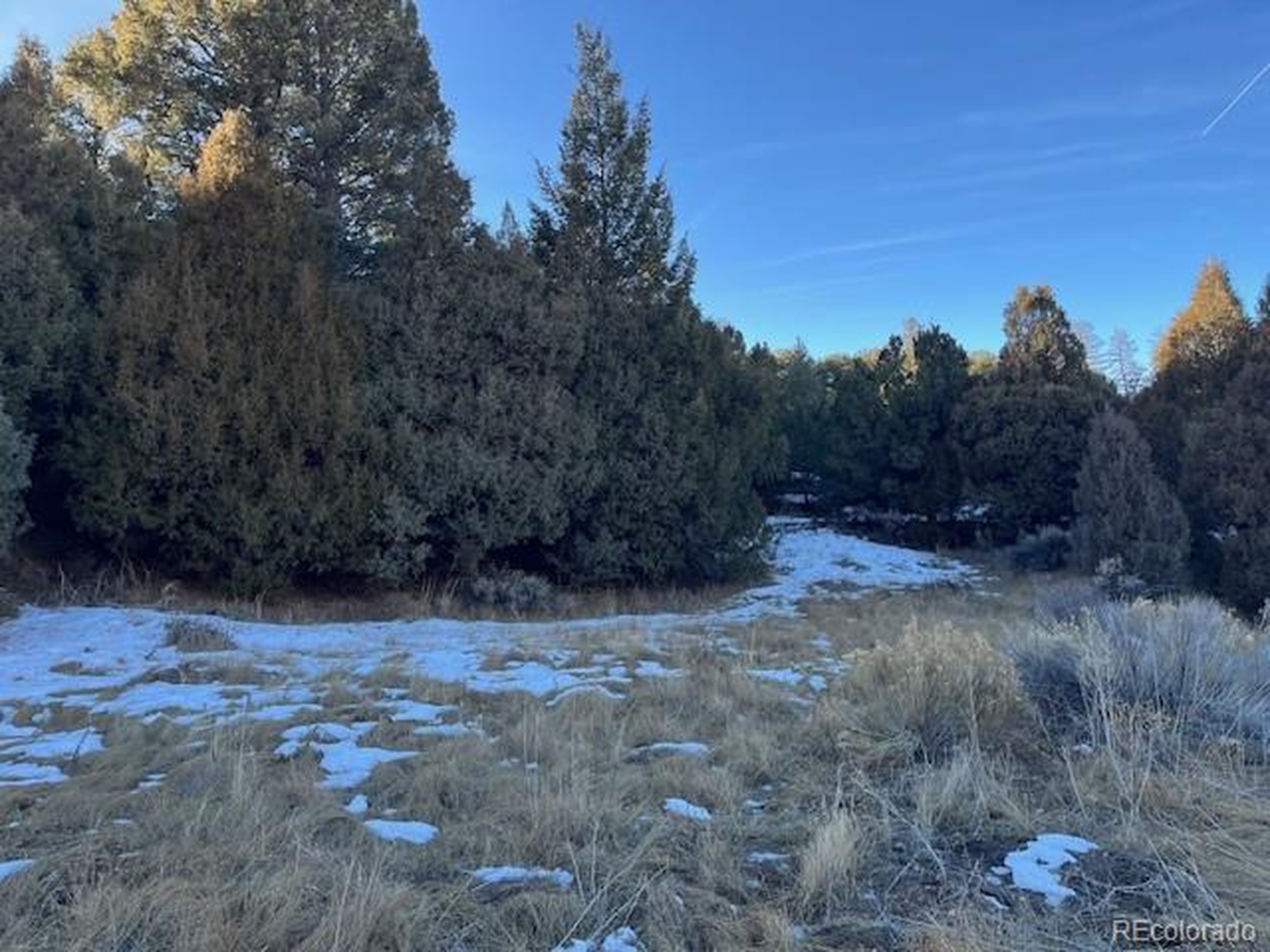 6016 Forbes Road San Luis, CO 81152 - Photo 14 of 20 a view of backyard with green space