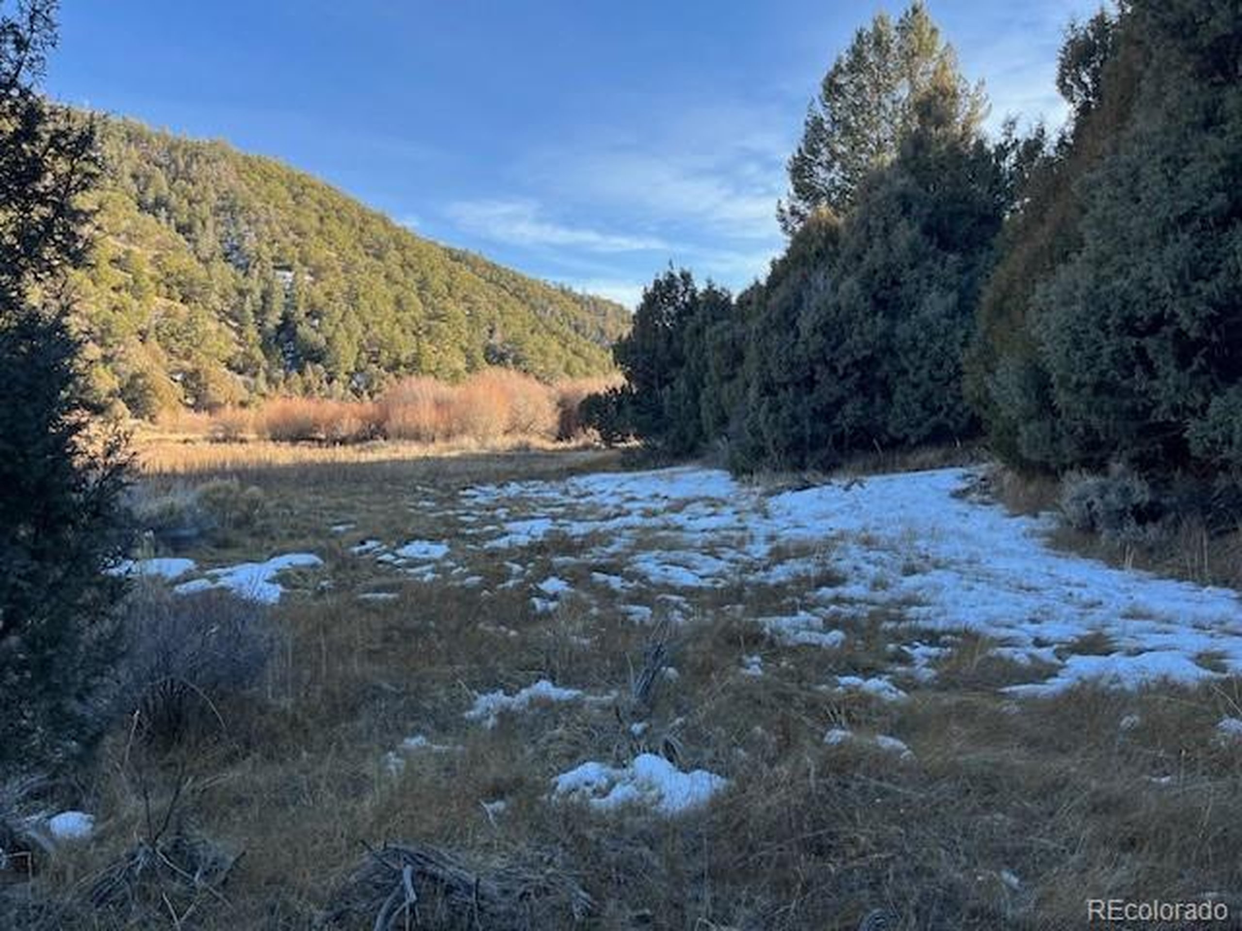 6016 Forbes Road San Luis, CO 81152 - Photo 17 of 20 a view of a yard with a tree