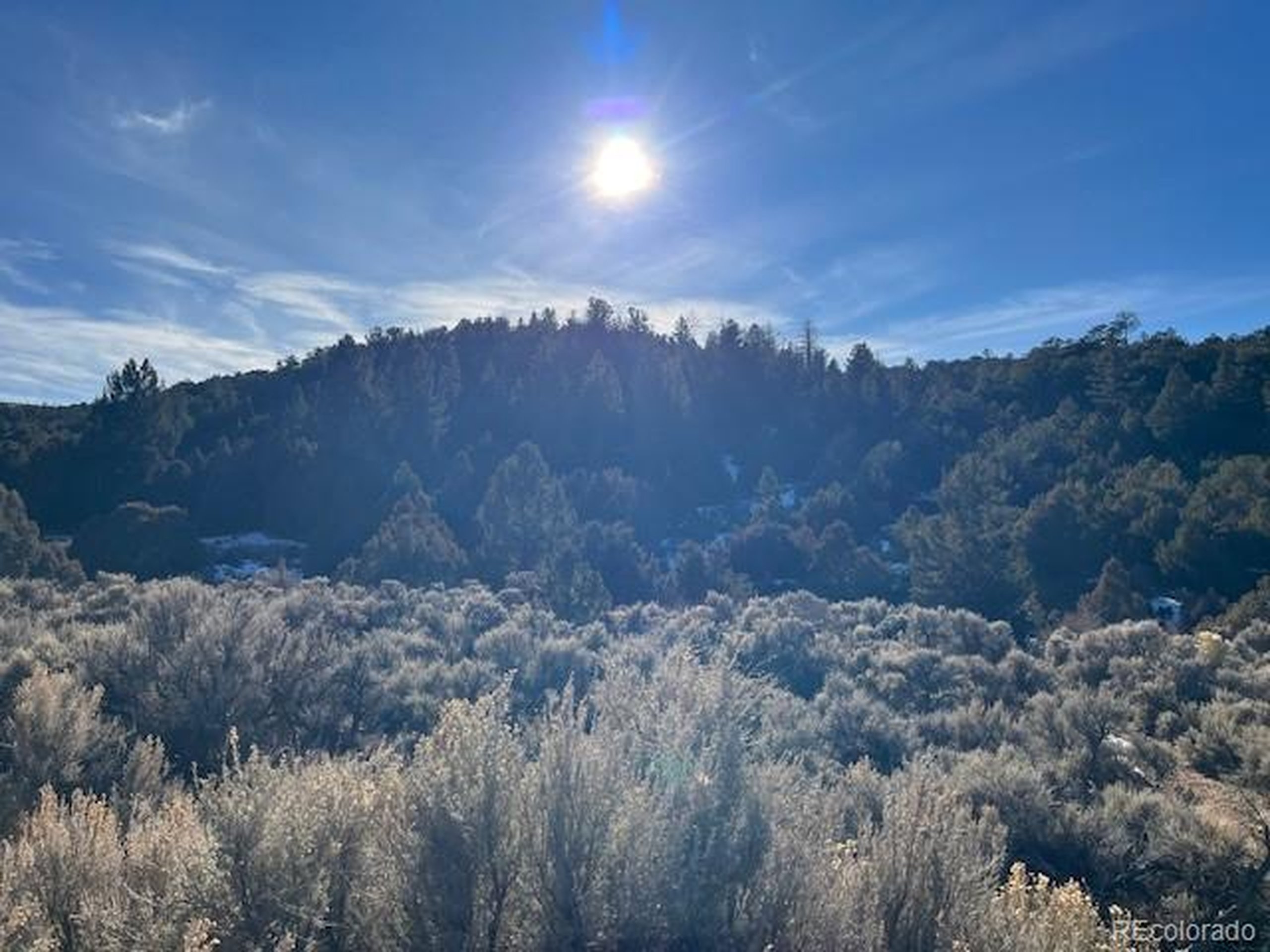 6016 Forbes Road San Luis, CO 81152 - Photo 3 of 20 a view of a yard