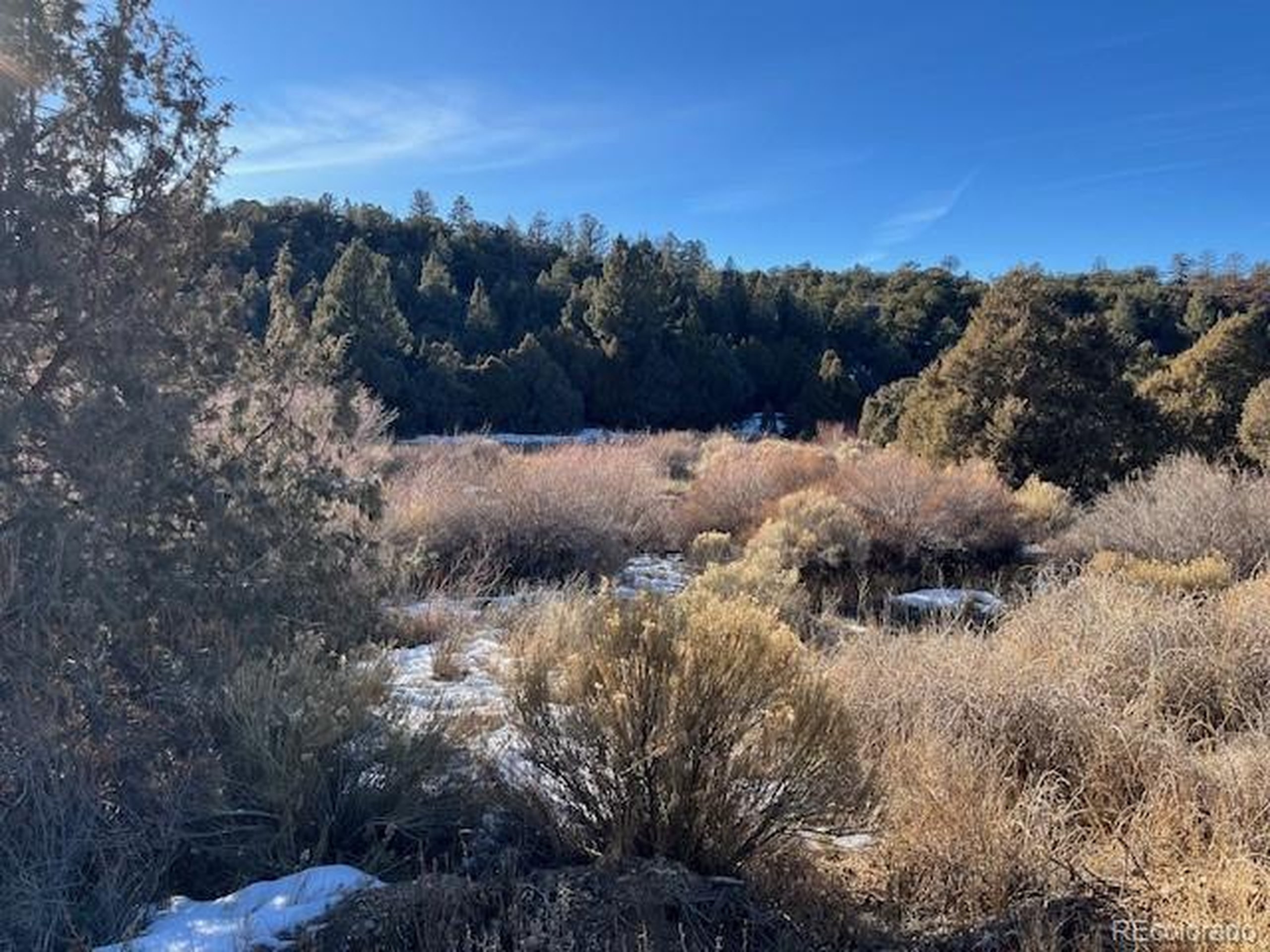 6016 Forbes Road San Luis, CO 81152 - Photo 5 of 20 a view of a backyard of a house