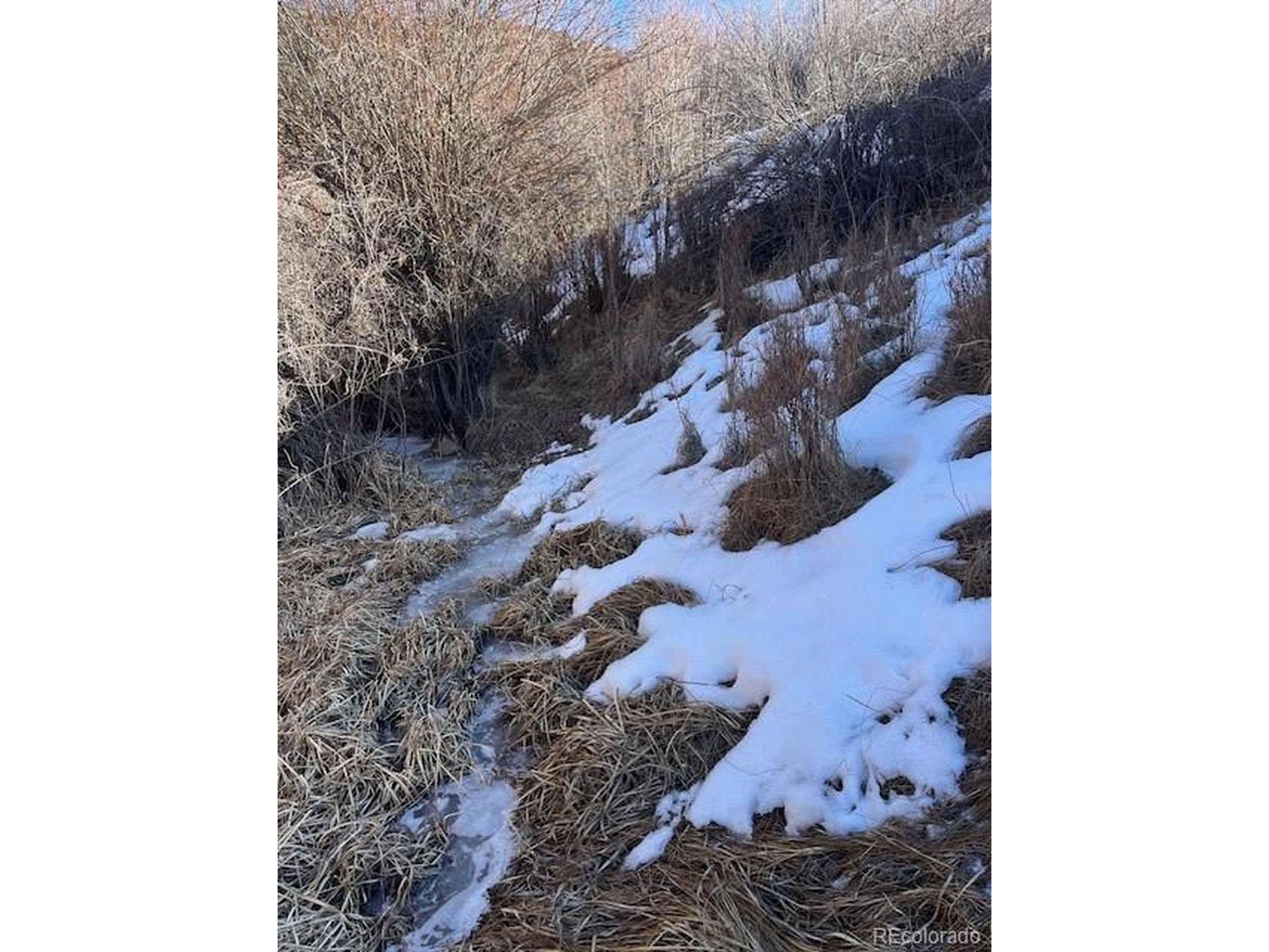 6016 Forbes Road San Luis, CO 81152 - Photo 7 of 20