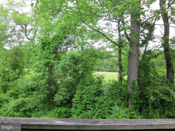 324 Brickhouse Road Princeton, NJ 08540 - Photo 20 of 21 View in Back