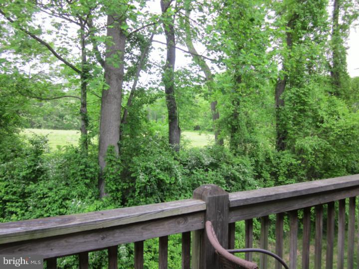 324 Brickhouse Road Princeton, NJ 08540 - Photo 21 of 21 View in Back