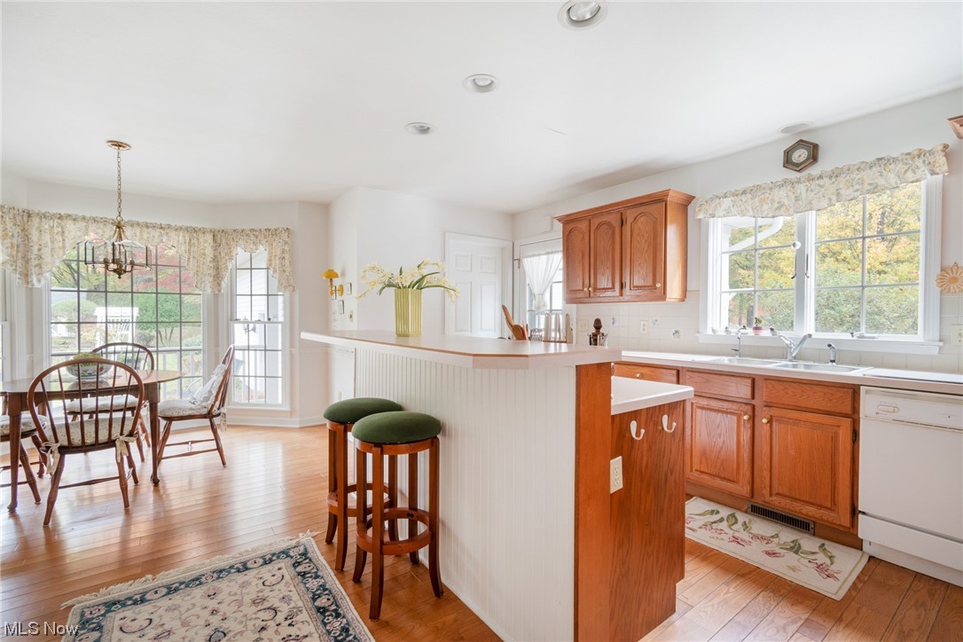 10822 West Calla Road Salem, OH 44460 - Photo 22 of 34 Kitchen with a wealth of natural light, dishwasher, pendant lighting, and sink