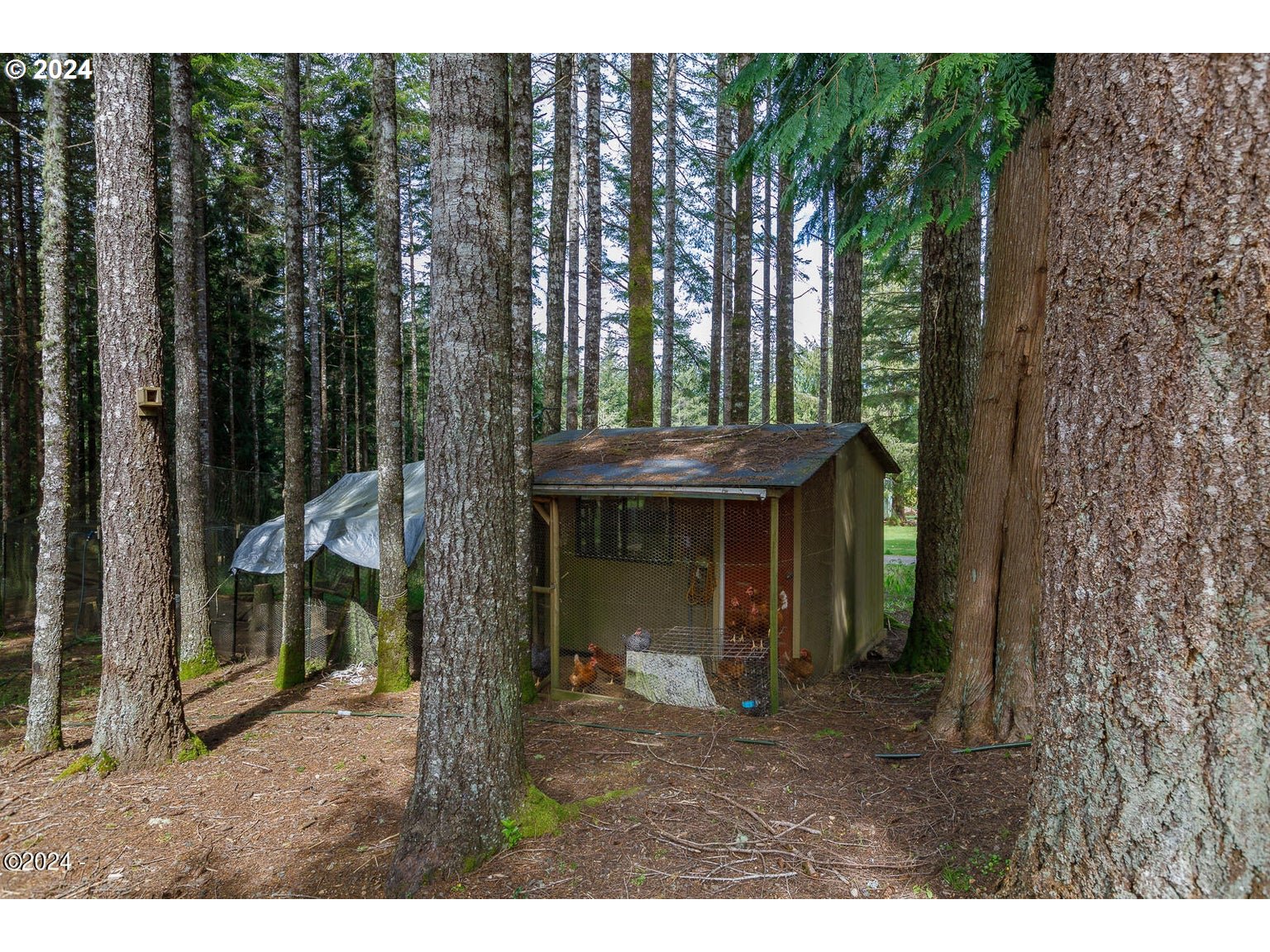 85380 Glenada Road Florence, OR 97439 - Photo 28 of 39 Gallery Image 28