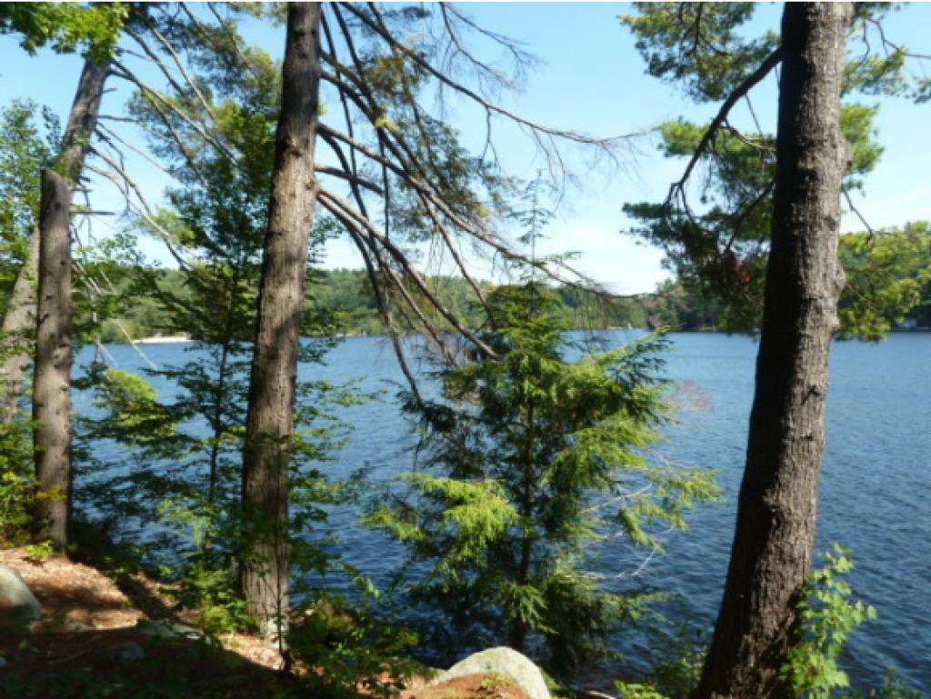 35 Collins Landing Road, Unit 24 Weare, NH 03281 - Photo 13 of 13