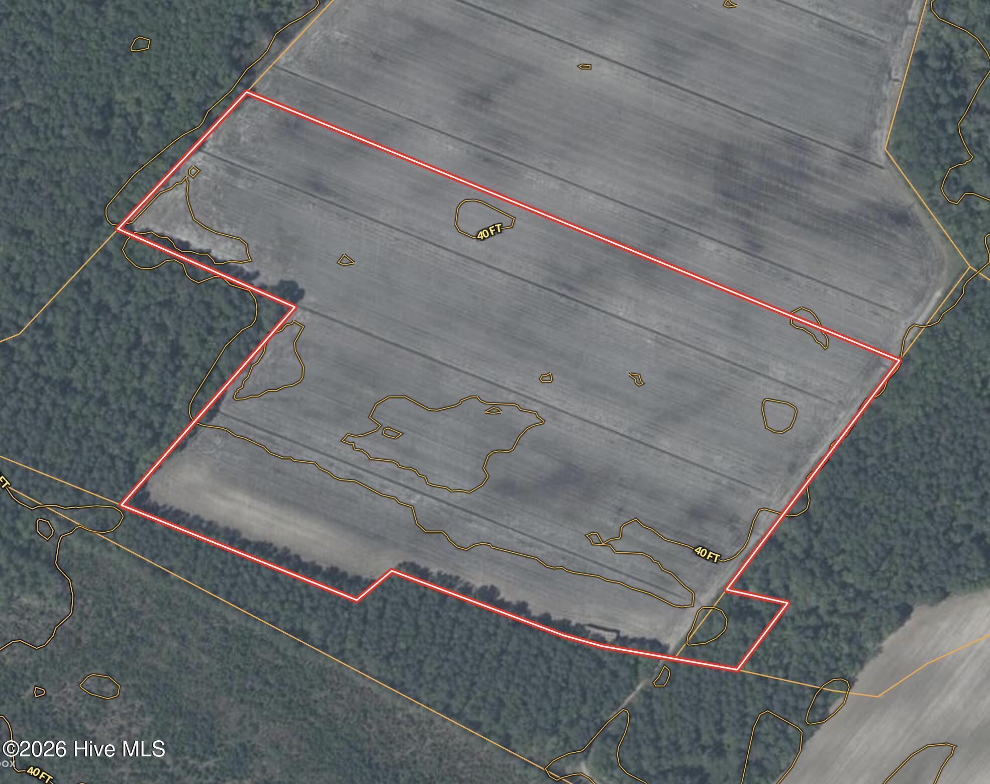 0 Sandy Ridge Road Tyner, NC 27980 - Photo 41 of 43 Aerial Contour