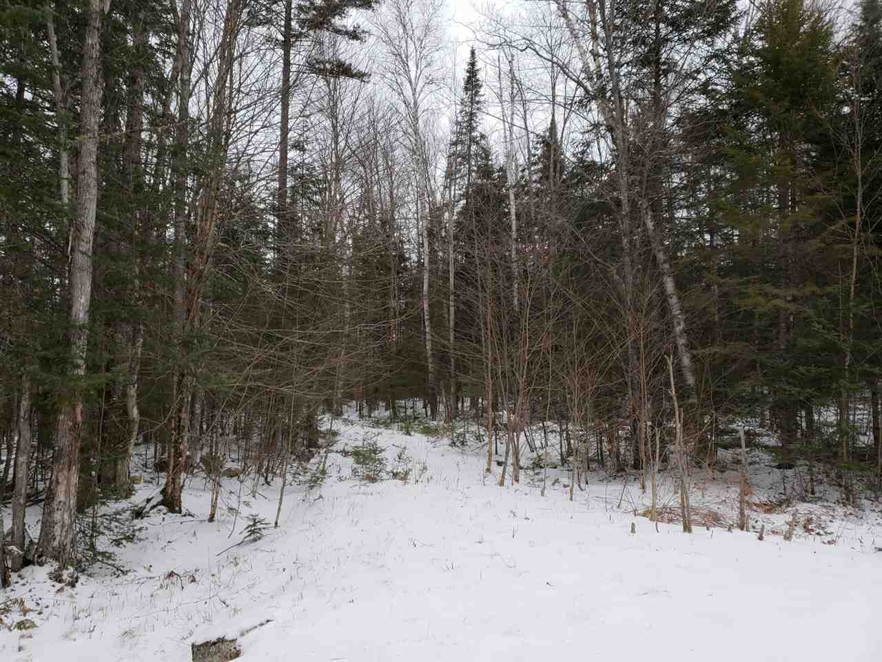 0 Balancing Rock Road Franconia, NH 03580 - Photo 22 of 39 Gallery Image 22