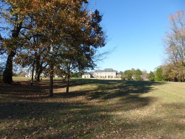 530 Lexington Manor Road, Unit 29 Eads, TN 38028 - Photo 7 of 9 a view of street with yard and trees around