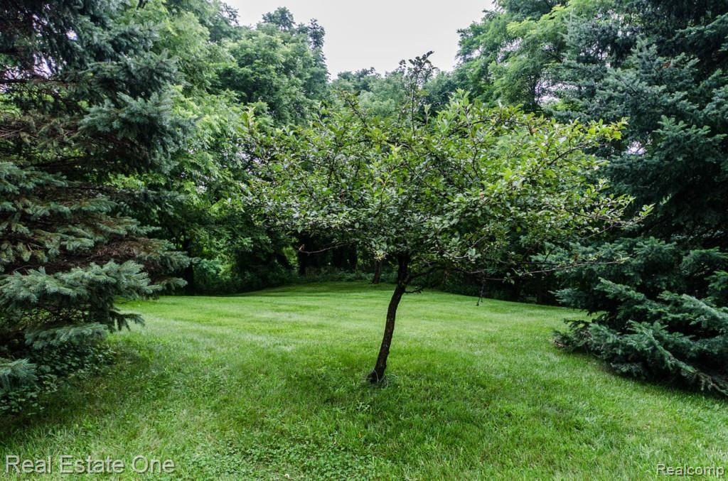 6560 Brighton Road Brighton, MI 48116 - Photo 57 of 57 56_3.jpg