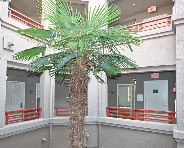 a yellow and plant sitting in front of a house