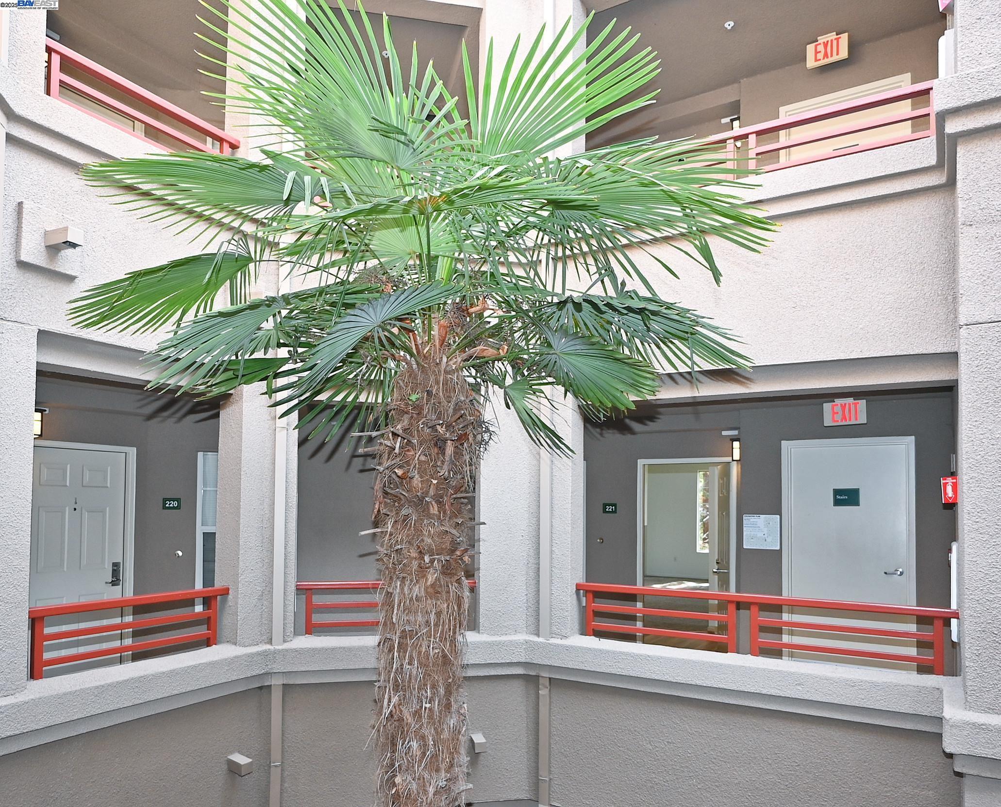 a yellow and plant sitting in front of a house