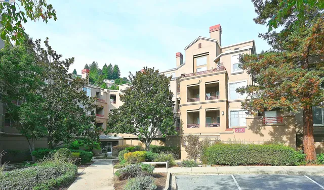 a front view of a house with a yard and trees