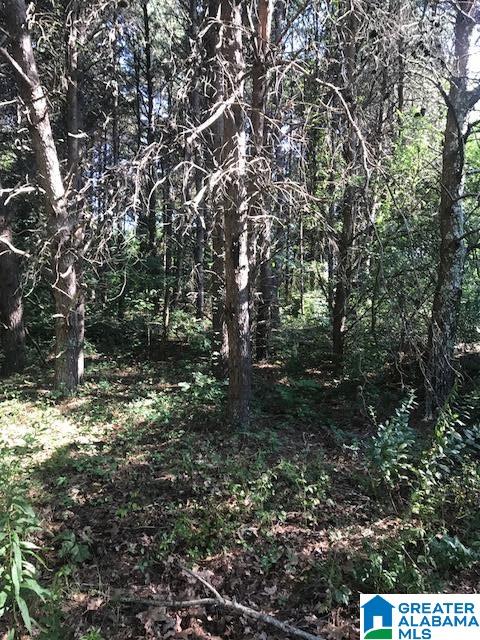 368 Bynum Road, Unit 2 9 AC Steele, AL 35987 - Photo 7 of 12