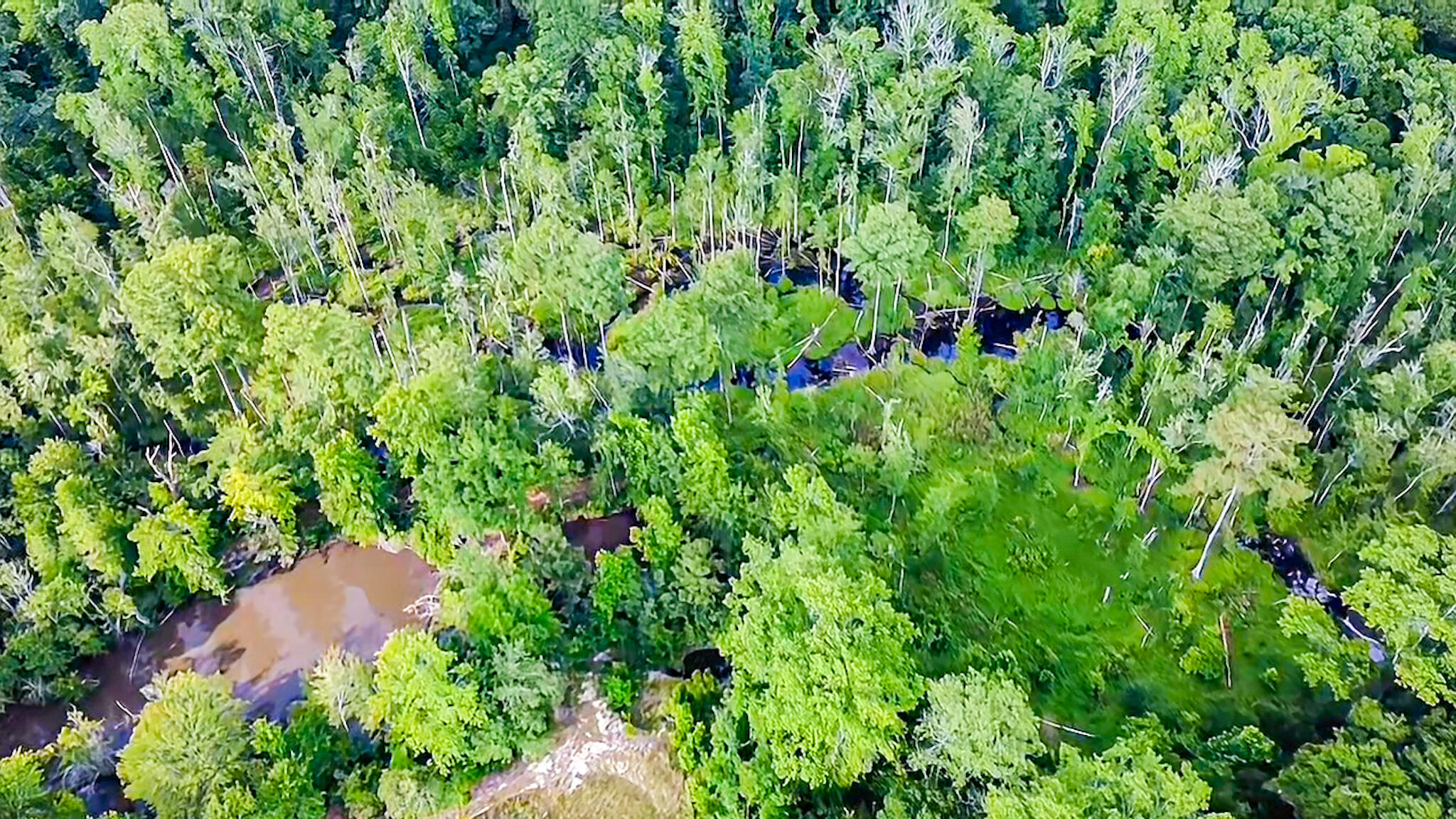 B Mt Carmel Road Walterboro, SC 29488 - Photo 5 of 7 VID_20260609_215938(5)