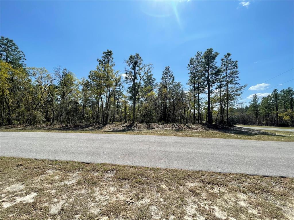 Tbd Southwest 139th St Road Ocala, FL 34473 - Photo 1 of 1