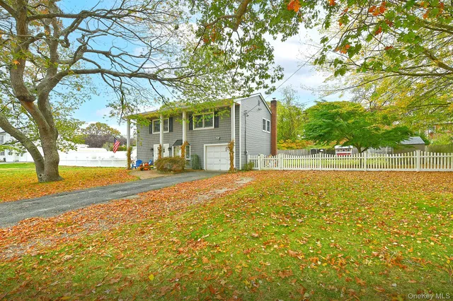 a view of a house with a large tree