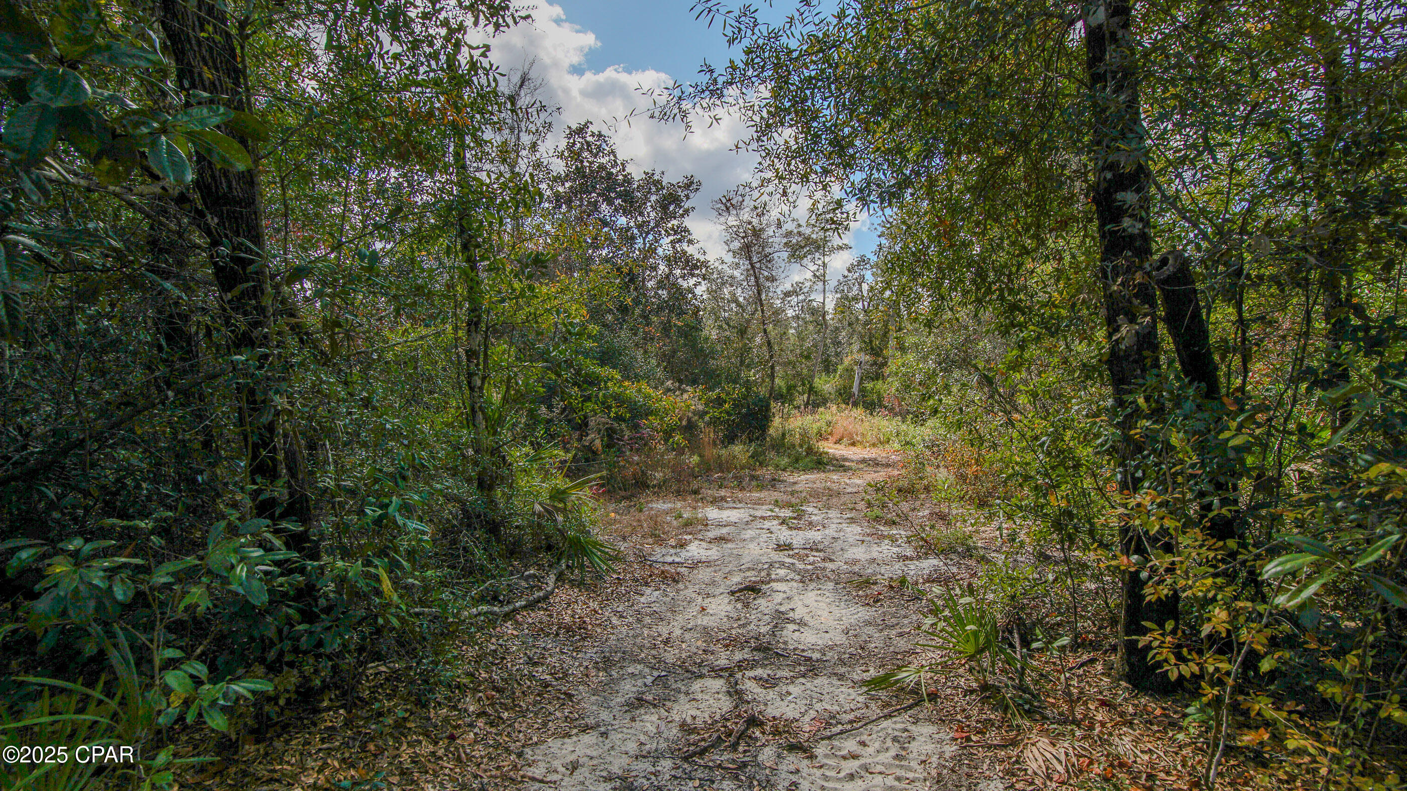 12299 Nona Wood Road Fountain, FL 32438 - Photo 18 of 21