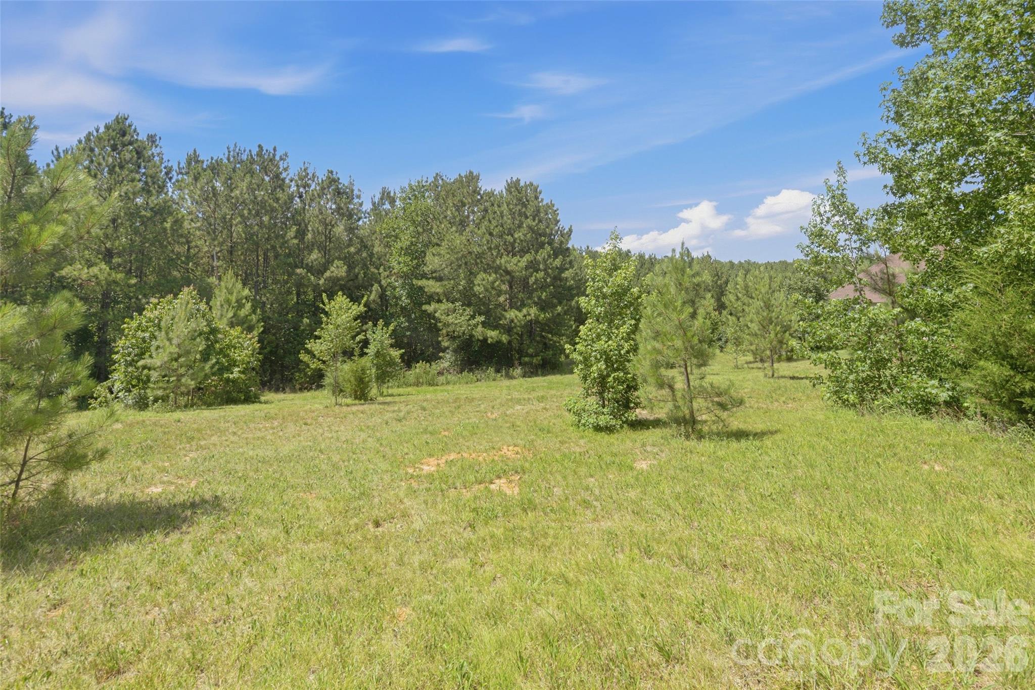 881 Reservation Road Rock Hill, SC 29730 - Photo 46 of 48