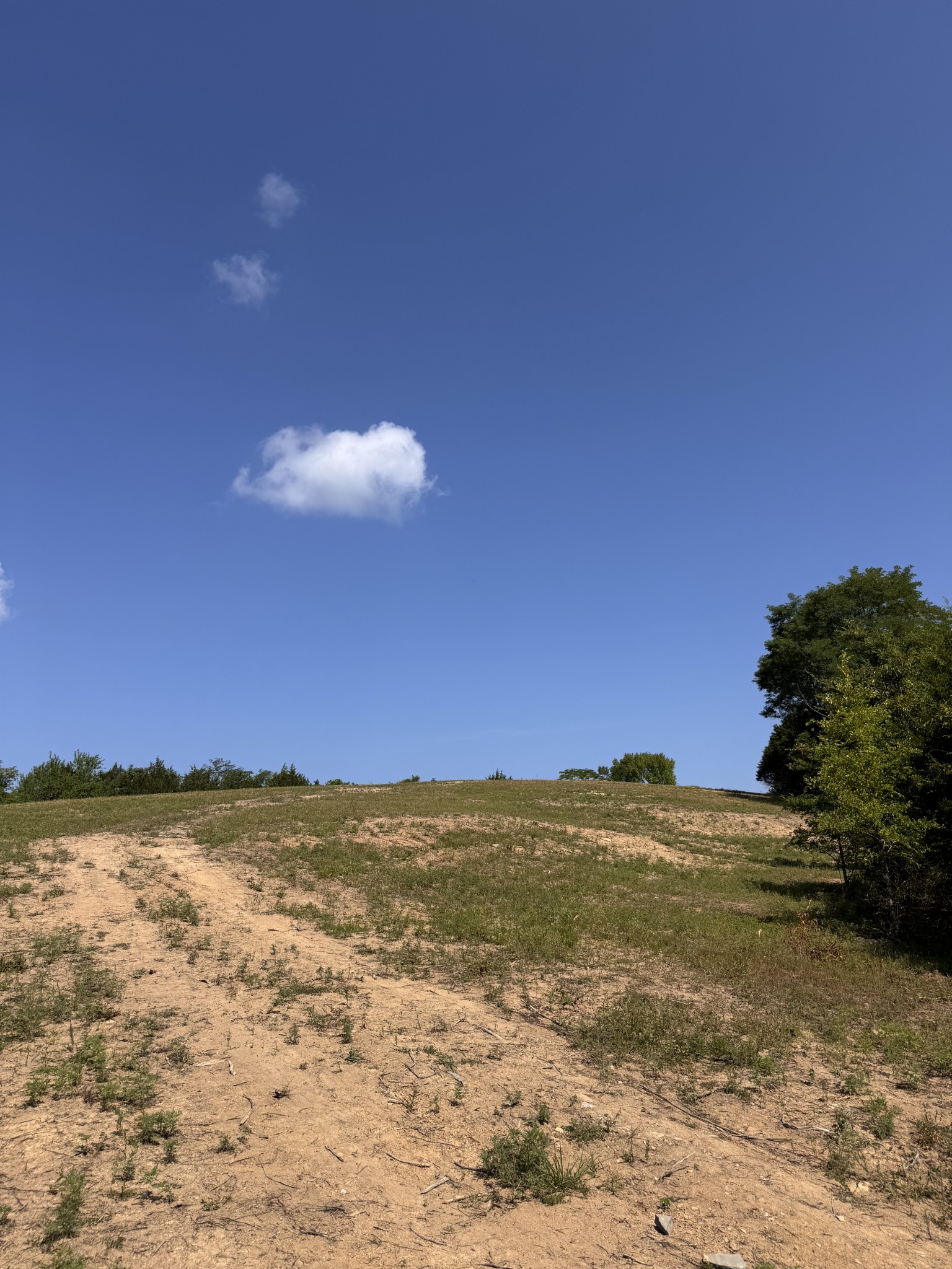 0 Pete Alsup Road Lascassas, TN 37085 - Photo 40 of 40 Gallery Image 40