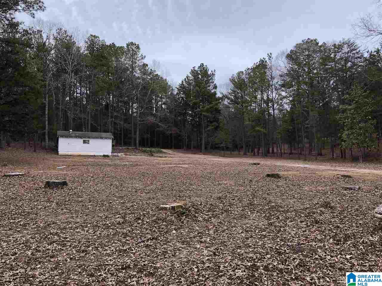 583 Race Track Road Centreville, AL 35042 - Photo 5 of 7