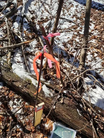 $28,500 | Lot 35-n4xx Lot 35-n4xx 297th Street, Eau Galle, WI 54737