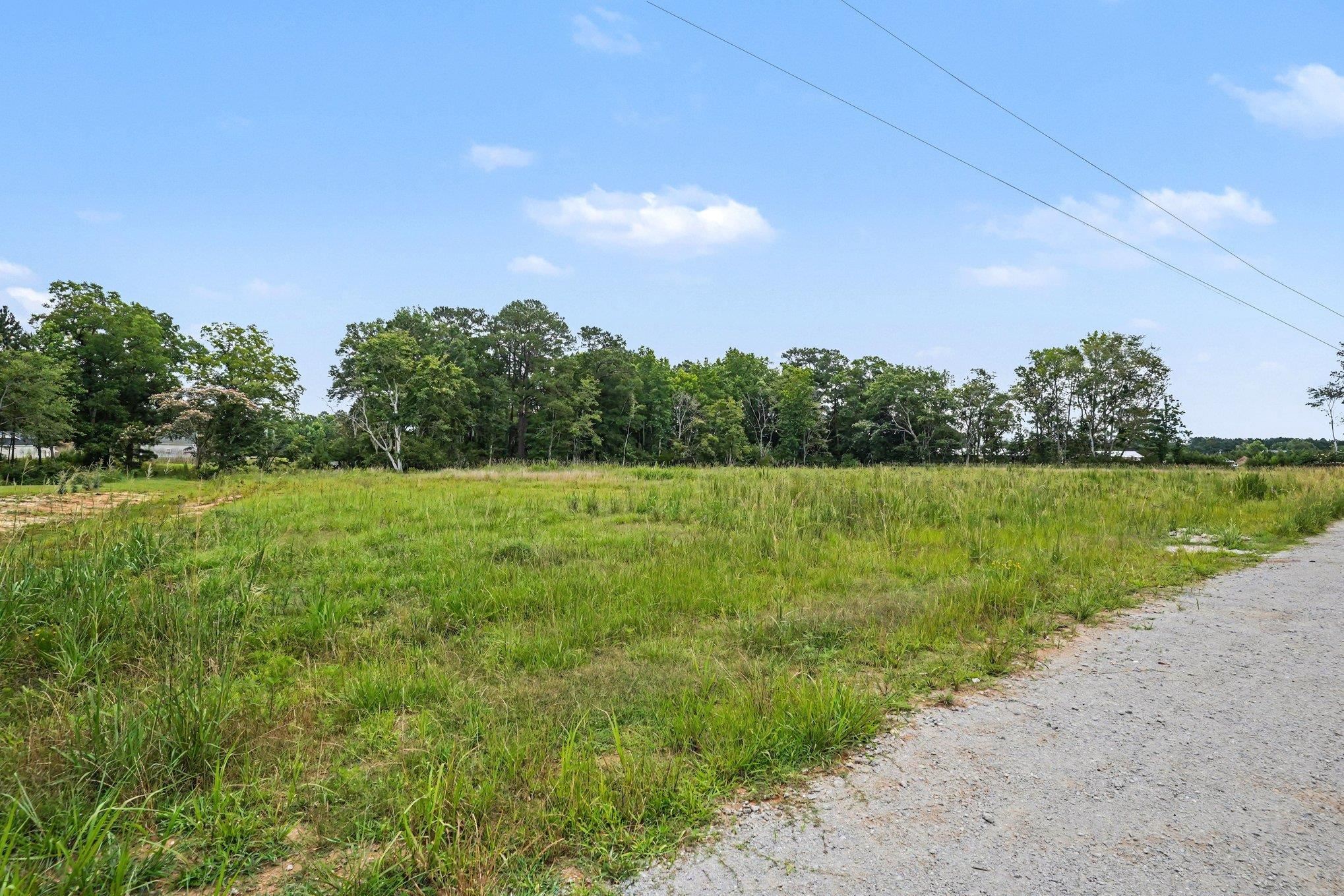113 Rena Lane Conway, SC 29527 - Photo 4 of 21