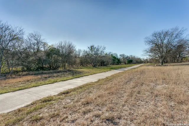 a view of a yard with trees