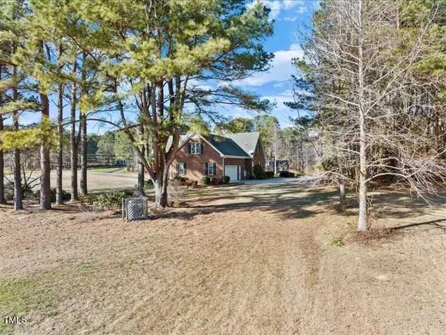a view of road and trees