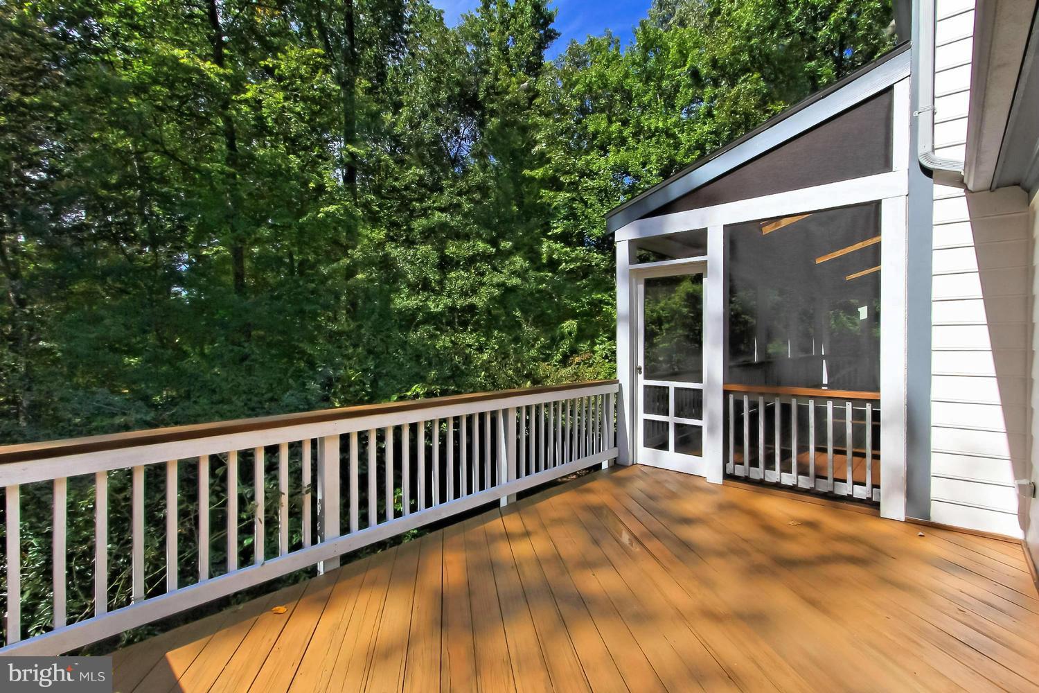 12467 Henderson Road Clifton, VA 20124 - Photo 24 of 30 Exterior (Rear)
