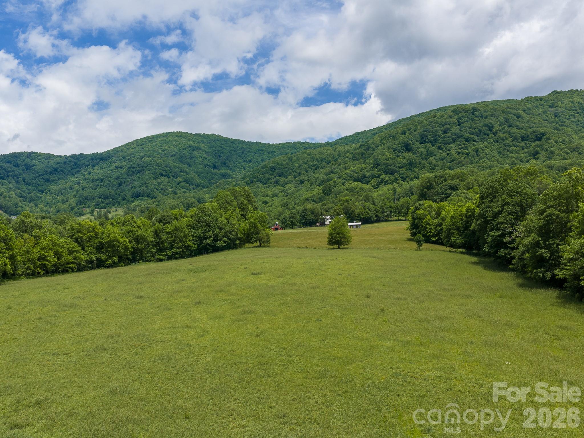 0 Sallys Branch Road Clyde, NC 28721 - Photo 2 of 22