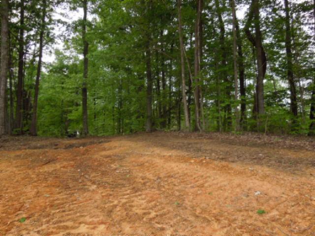0 Turkey Town Road Hilham, TN 38568 - Photo 1 of 13 Gallery Image 1