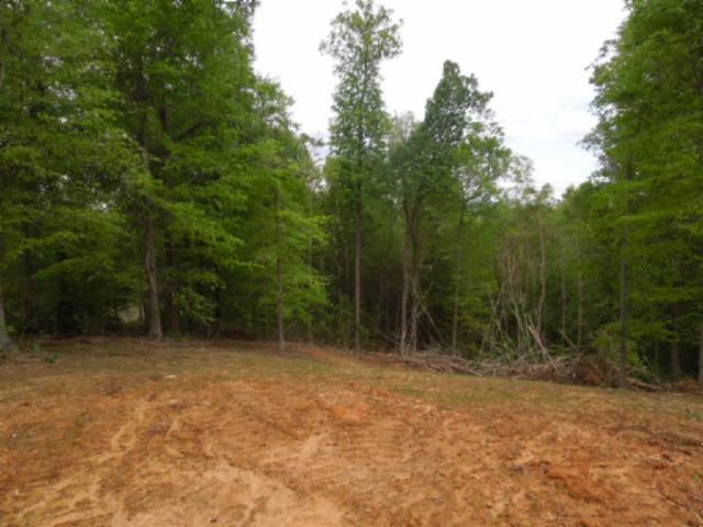 0 Turkey Town Road Hilham, TN 38568 - Photo 2 of 13 Gallery Image 2
